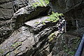 Bernhard Saalfeld - DSC03431.JPG