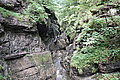 Bernhard Saalfeld - DSC03435.JPG