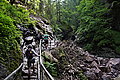 Bernhard Saalfeld - DSC03436.JPG