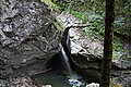 Bernhard Saalfeld - DSC03438.JPG