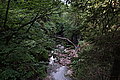 Bernhard Saalfeld - DSC03443.JPG