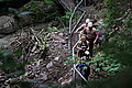 Bernhard Saalfeld - DSC03444.JPG
