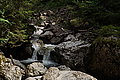 Bernhard Saalfeld - DSC03451.JPG