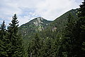 Bernhard Saalfeld - DSC03460.JPG