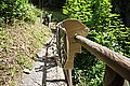Bernhard Saalfeld - DSC03468.JPG