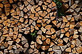 Bernhard Saalfeld - DSC03472.JPG