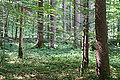 Bernhard Saalfeld - DSC03488.JPG