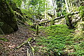 Bernhard Saalfeld - DSC03490.JPG