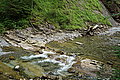Bernhard Saalfeld - DSC03498.JPG