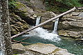 Bernhard Saalfeld - DSC03501.JPG