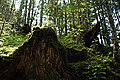Bernhard Saalfeld - DSC03519.JPG