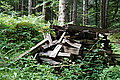 Bernhard Saalfeld - DSC03521.JPG