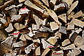 Bernhard Saalfeld - DSC03529.JPG