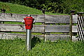 Bernhard Saalfeld - DSC03531.JPG