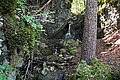 Bernhard Saalfeld - DSC03537.JPG