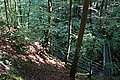 Bernhard Saalfeld - DSC03542.JPG