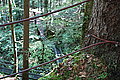 Bernhard Saalfeld - DSC03543.JPG
