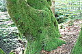 Bernhard Saalfeld - DSC03544.JPG