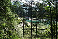 Bernhard Saalfeld - DSC03550.JPG