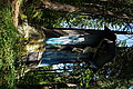 Bernhard Saalfeld - DSC03551.JPG