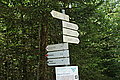 Bernhard Saalfeld - DSC03563.JPG