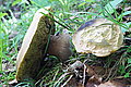 Bernhard Saalfeld - DSC03570.JPG