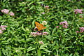 Bernhard Saalfeld - DSC03575.JPG