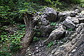 Bernhard Saalfeld - DSC03589.JPG