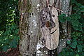 Bernhard Saalfeld - DSC03592.JPG