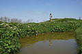 Bernhard Saalfeld - DSC03652.JPG