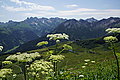 Bernhard Saalfeld - DSC03660.JPG
