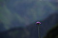 Bernhard Saalfeld - DSC03670.JPG