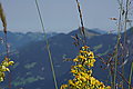 Bernhard Saalfeld - DSC03672.JPG