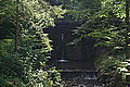 Bernhard Saalfeld - DSC03699.JPG
