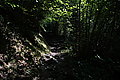 Bernhard Saalfeld - DSC03702.JPG