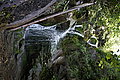 Bernhard Saalfeld - DSC03707.JPG