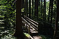 Bernhard Saalfeld - DSC03708.JPG
