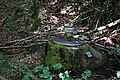 Bernhard Saalfeld - DSC03711.JPG