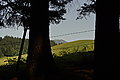 Bernhard Saalfeld - DSC03716.JPG