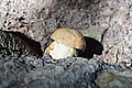 Bernhard Saalfeld - DSC03718.JPG