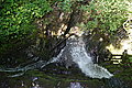 Bernhard Saalfeld - DSC03731.JPG