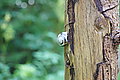 Bernhard Saalfeld - DSC03732.JPG