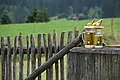 Bernhard Saalfeld - DSC03745.JPG