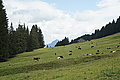 Bernhard Saalfeld - DSC03760.JPG
