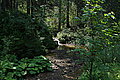 Bernhard Saalfeld - DSC03762.JPG