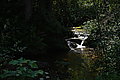 Bernhard Saalfeld - DSC03764.JPG