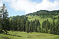 Bernhard Saalfeld - DSC03770.JPG