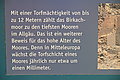 Bernhard Saalfeld - DSC03773.JPG