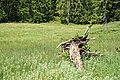 Bernhard Saalfeld - DSC03774.JPG