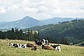 Bernhard Saalfeld - DSC03777.JPG